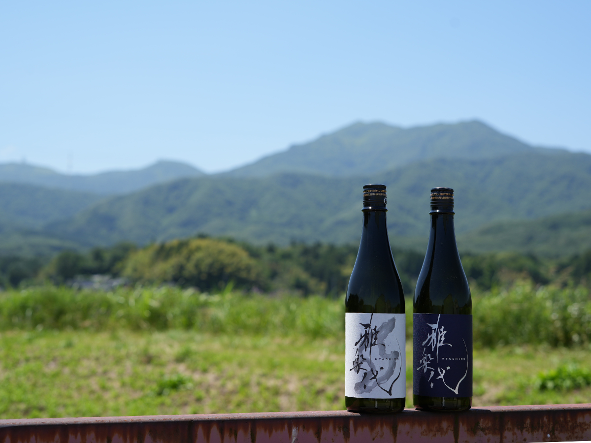 金北山を背景に雅楽代の酒瓶が並ぶ